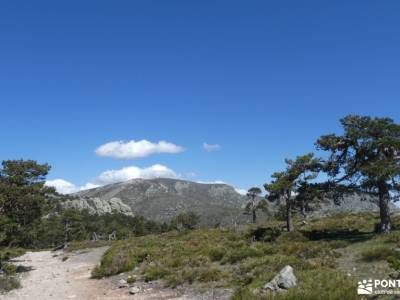 Praderas, Miradores Umbría de Siete Picos; cotos valdesqui valle de lozoya madrid parque natural del